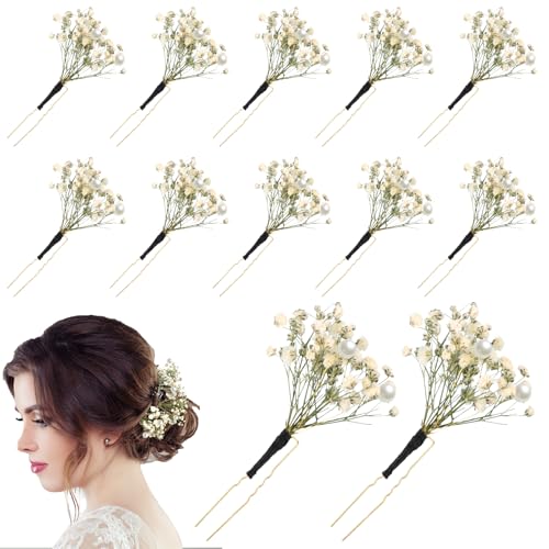 Daifunli 12 Pcs Baby's Breath Hair Pins for...