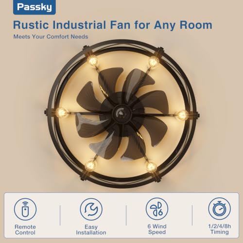 Image of Passky 24 inch Caged Ceiling Fans with Lights and Remote, Low Profile Fandelier