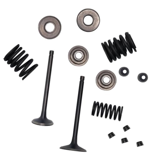 Kit de reconstrucción de válvula para reparar tu ruta en ATV M 260