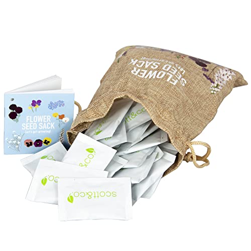 Scott&Co. Flower Seed Starter Kit - 30 Different Varieties of Flower Seeds to Grow Your Own. Butterfly and Bee Attracting, for Indoor and Outdoor Growing. Gardening Gifts for Women and Men.