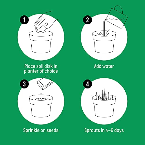 The Cat Ladies Cat Grass Refill Kit 100% Organic 3 Pack - Image 6