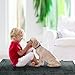 Kritter Planet wasserdichte Katze Hundematte, Faltbare Waschbare Haustier Outdoor Hundedecke für Reisen Camping Outdoor, Faltbare Haustiermatte mit Griffen, Kleine Mittlere Hundebettdecke 127 x 70CM