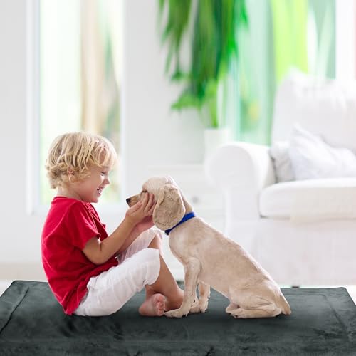 Kritter Planet wasserdichte Katze Hundematte, Faltbare Waschbare Haustier Outdoor Hundedecke für Reisen Camping Outdoor, Faltbare Haustiermatte mit Griffen, Kleine Mittlere Hundebettdecke 127 x 70CM