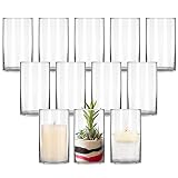 PINIWON 12 Pack Clear Glass Cylinder Vases, 6 Inch Tall Flowers Vases, Decorative Centerpieces for H