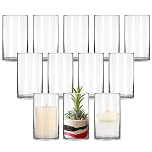 12 Pack Clear Glass Cylinder Vases, 6 Inch Tall Flowers Vases, Decorative Centerpieces for Home, Office, Events or Weddings