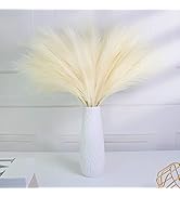 U-LIAN Faux Pampas Grass Beige 24 Inch 12PCS, Small Artificial Pompas Grass Decor for Vase, Fake ...