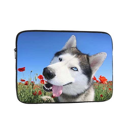 ʔnXL[Ɖ m[gp\RP[X 12 inch C` bvgbvX[u PCP[X X[uP[X Ci[P[X ϏՌ ϐ ʋ ʊw 킢 یP[X/m[gubN/^ubg