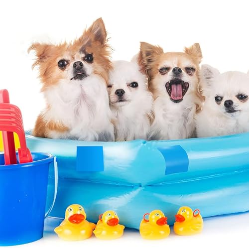 KHIRY Selbstklebende Reparaturflicken Pool für Schwimmbecken 60 Stück Pool Reparaturset Unterwasser PVC Pool Reparaturset