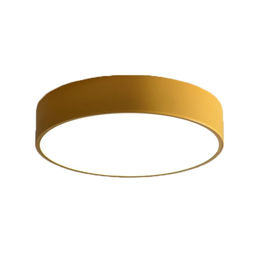 JJJ Lighting Lámpara de Techo 12W, 18W, 24W, 36W Hierro Arte Iluminación Acrílico Sala de Estar Dormitorio Lámpara de Techo LED Luz Blanca 23 cm, 30 cm, 40 cm, 50 cm (Color : White Light)