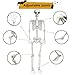UMEELR 5.9FT Full Size Skeleton, Life Size Poseable Skeleton for Halloween Outdoor Decoration