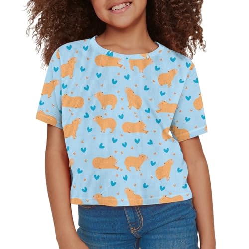 Image of Girls Crop Tees Crew Neck Casual Short Sleeve T Shirts Kids Loose Soft Comfortable Tees Blouses Shirt for Little Girl