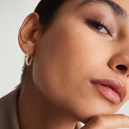 Gold Earrings 14K Gold Hoop Earrings for Women with Cubic Zirconia Classic Heart Design Dainty Statement Earring for Women Trendy2