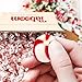Bobs Sweet Stripes – 2lb Bulk of Peppermint Candy – Party Pack of Delicious Mint Candy – Peppermint Candy for Special Occasions – With White and Red Strips (2 Pounds)