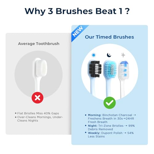 Image of Soft Toothbrushes for Morning Freshness & Night Cleanliness -10000+ Soft Bristle Toothbrush for Sensitive Gums|Medium Toothbrushes for Deep Plaque Removal, Daily Clean & Weekly Brightening