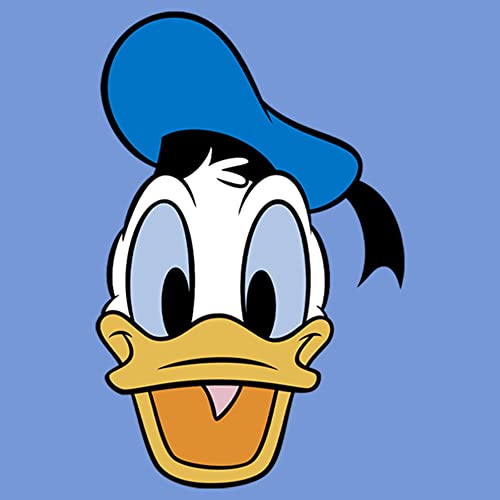 Disney Boys Characters Big Face Donald Boy's Performance Tee2