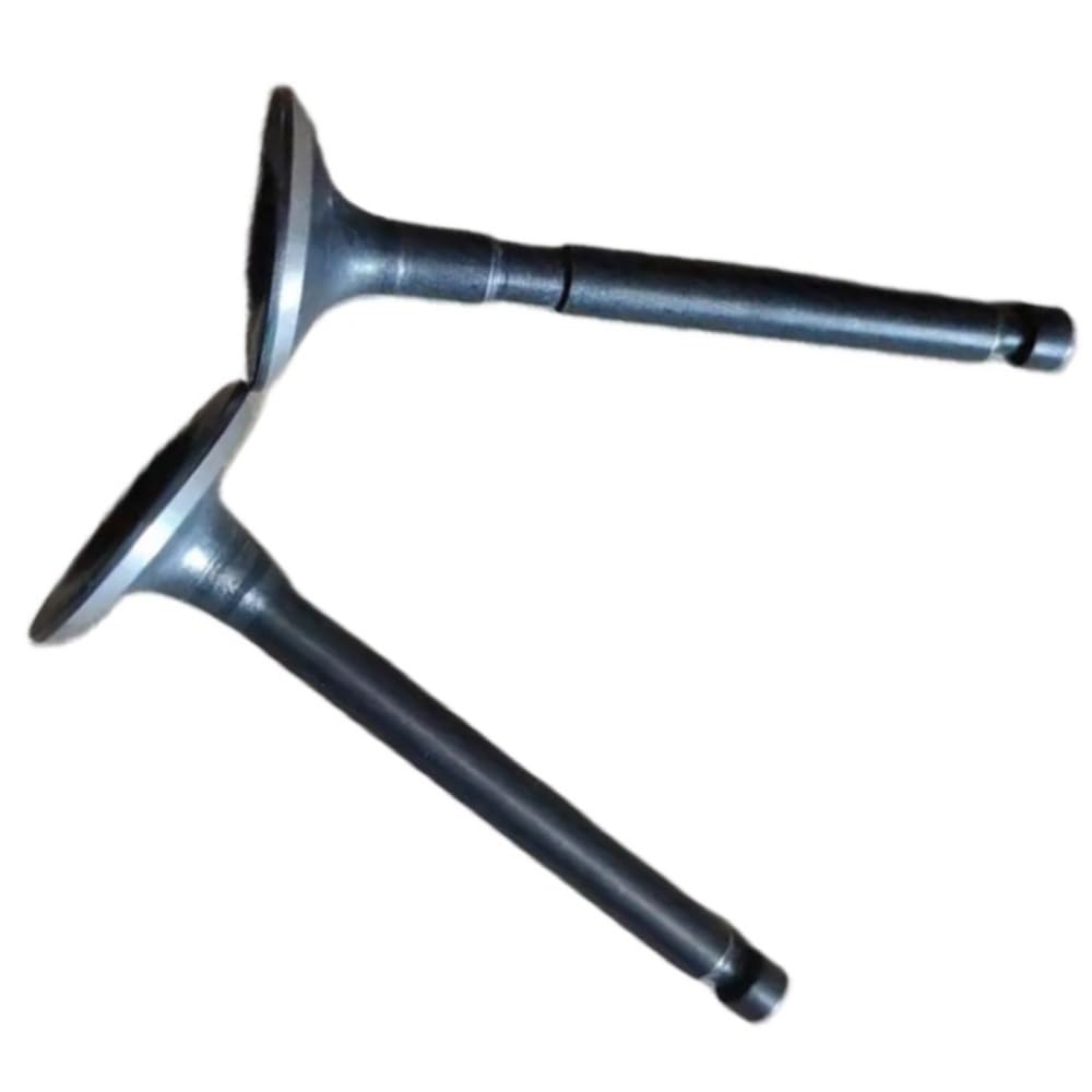 Itrvcay One Color Intake Valve And Valve Fit For Ef2600 Mz175 Yp30g