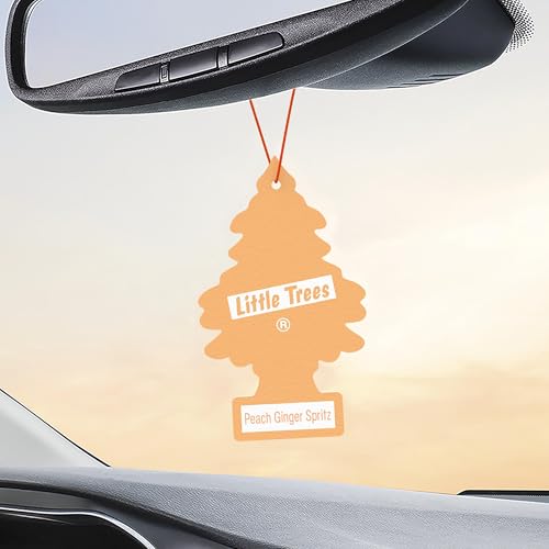 Image of LITTLE TREES Car Air Freshener | Hanging Tree Provides Long Lasting Scent for Auto and Home | 24 Air Fresheners |Peach Ginger Spritz