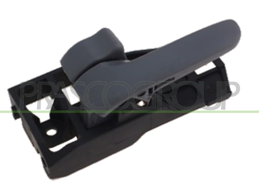 PRASCO Türgriff TY2838608 vorne links, Kompatibel mit: TOYOTA RAV 4 II