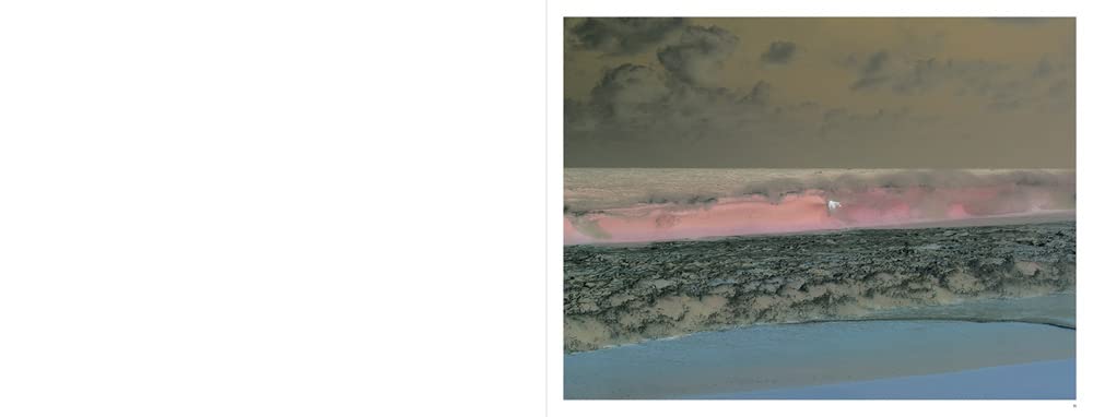 Richard Misrach Notations /anglais