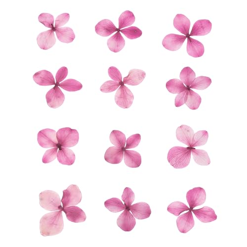Flores Secas Prensadas para Manualidades, 48 Piezas miniatura 1