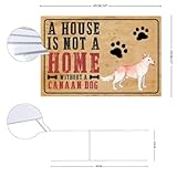 Zoom IMG-2 canaan dog 30 5 x Zoom IMG-2 canaan dog 30 5 x