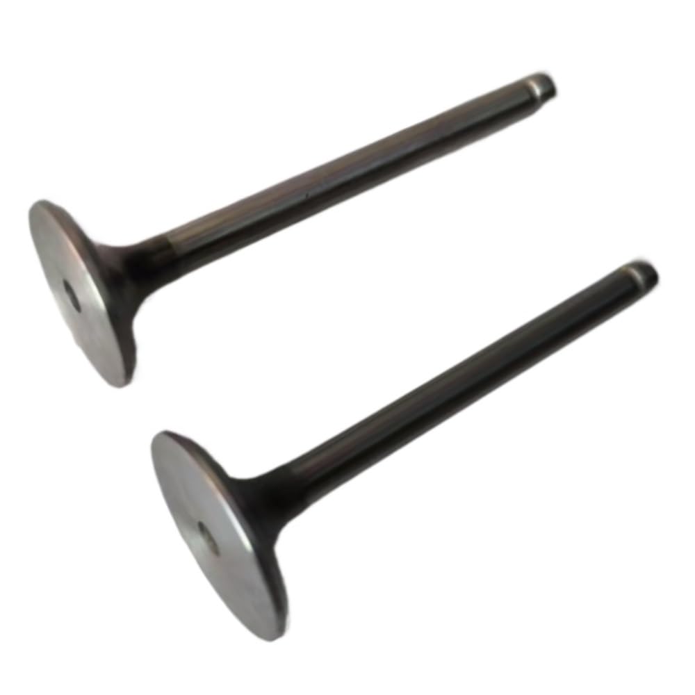 Pljyocdo One Color Intake Valve Fit For Ch20 Ch18 Ch23 Ch730 Ch740 Ch742 Engine Part 2401601-S 2401701-S