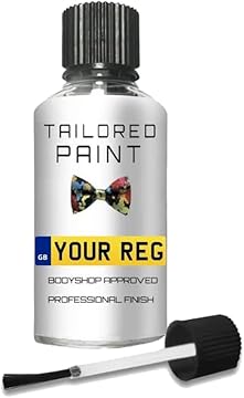 Mixed by Reg Registration Plate Car Touch Up Paint All In 1 Formula Perfect Colour Match Car Paint Check