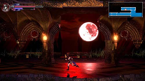 Bloodstained Ritual Of The Night (PS4)