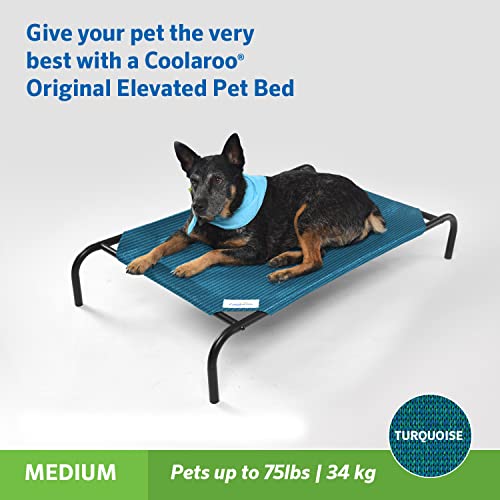 Image of Gale Pacific Coolaroo The Original Cooling Elevated Pet Bed, Medium, Turquoise
