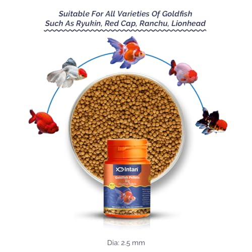 Image of Intan Goldfish Pellets Fish Food | Big Floating Pellets for Fish | Daily Nutrition Fish Feed for Health & Growth | Mini Pack 27 Gm Each, Pellet Size - 2.5 mm Dia, Pack of 2,All Life Stages