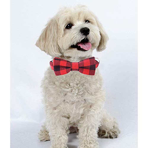 Malier 2 Pack Dog Collar with Bow tie, Cute Plaid Pattern Dog Collar with Bow tie and Durable Buckle Collar for Small… - Image 3