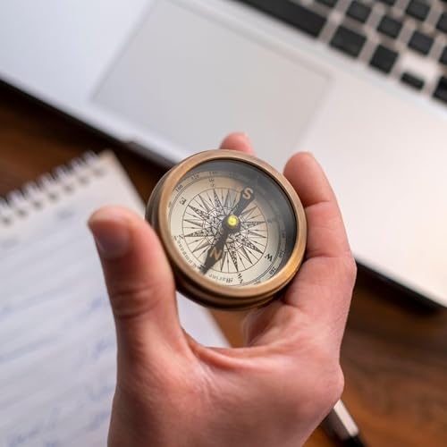 The COO&rsquo;s compass: Setting direction and driving impact