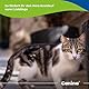 Canina Herz-Vital | 100 ml Hundezusatzfutter