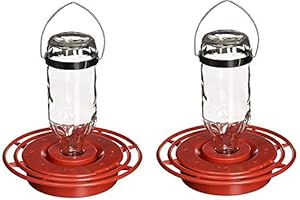 Birds Choice, 8oz Best Hummingbird Feeder (Pack of 2)