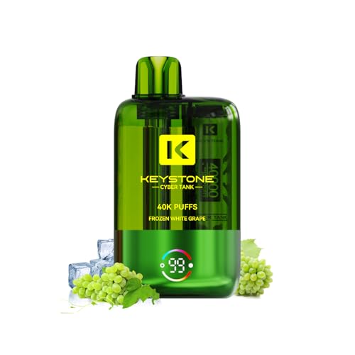 dq^oR ĝ KEYSTONE 40000z VAPE xCv ^уV[V ^N eʃLbh 1100mAhobe[ Type-C[d MTL/RDLΉ Rh~  z lCt[o[ ։T|[g jR`Ȃ 