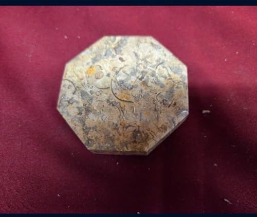 Fossil Stone Paper Weight, 3 Inch, Natural Stone, Set of 12, Made in Pakistan-Paper Weight