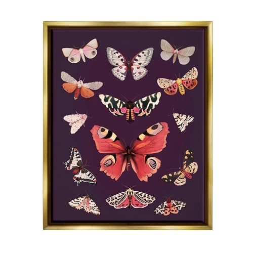 Stupell Industries Vintage Wildlife Moths Framed Floater Canvas Wall Art by Diane Neukirch