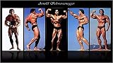 YaShengZhuangShi Leinwand Kunstwerk 70x140cm Kein Rahmen Arnold Schwarzenegger - Bodybuilder Mr Olympia Universum Poster Leinwandbilder Wandkunst Bilder Wohnkultur
