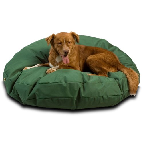 Popular Cedar Dog Beds Reviewed And Ranked Updated January 2022