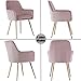 GOLDEN BEACH Velvet Dinning Chair Mid-Back Accent Chair Modern Leisure Armchair with Gold Plating Legs Upholstered Living Room Chair (Pink Mauve-1PC)