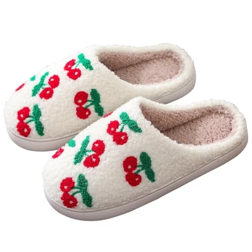 Funny Fuzzy Slippers for Women Cozy Embroidered Retro Comfy Warm Soft Slippers Slip-on House Bedroom Cotton Slippers for Her Couples Mother's Day Valentines Gifts