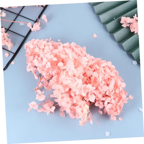Petalos Secos de Hortensia Rosa para Manualidades miniatura 7