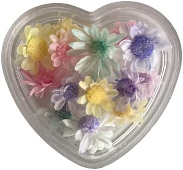 Amazon スターフラワーミニ 加工カラー パステルカラー オリジナル 花材 ドライフラワー ハンドメイド レジン ハーバリウムボールペン 小花 カラフル 小さい ランダム アレンジメント 日本製 小分け 15粒以上 イニシャルキーホルダー プリザーブドフラワー オンライン通販
