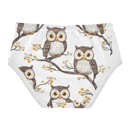 ZZKKO Branch Owl Girls Underwear Toddler Panties for Girls Comfort Brief Size 2T-8Y2