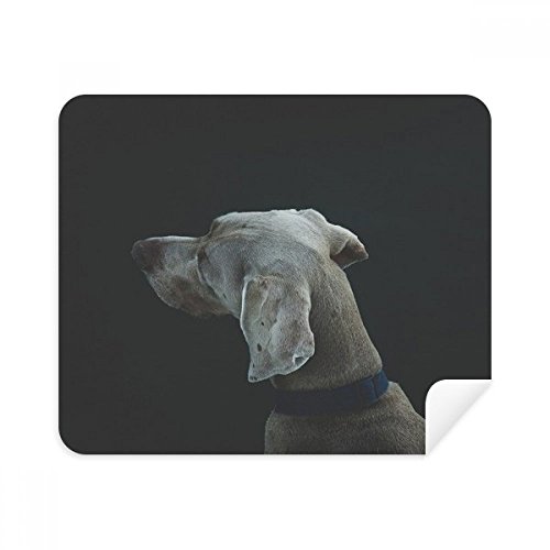 Chiffon Lunettes Suede Tissu Chien Solitaire DIYthinker Microfibre Haute Densité x2