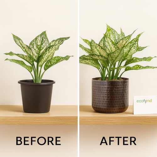 Image of ecofynd 5.5 inches Adam Metal Plant Pot, Decorative Modern Indoor Planter Flower Pots, Home Garden Decor Planter for Living Room Bedroom Interior, Pack of 1 (Copper, POT041)