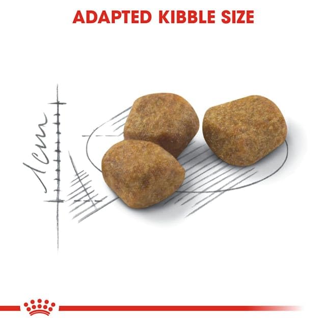 ROYAL CANIN Indoor 7+ | Doppelpack | 2 x 400 g | Alleinfuttermittel speziell für ältere Katzen die im Haus Leben | Kann die Nieren- und Harnwegsfunktion unterstützen