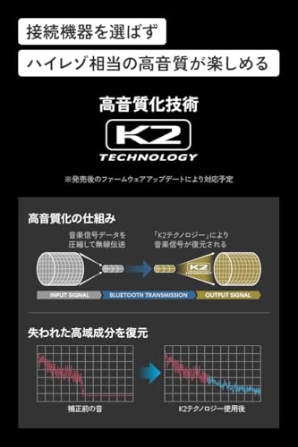 Victor WOOD master (HA-FW5000T) 8