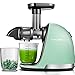 Licuadora Prensado en Frio, AMZCHEF Licuadora Frutas Verduras,Extractor de zumos con Función inversa,Motor Silencioso,fácil de limpiar con un cepillo extra (Verde)