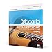 D'Addario EJ84L Gypsy Jazz Acoustic Guitar Strings, Loop End, Light, 10-44